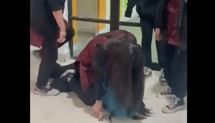Video of Girl Bullying