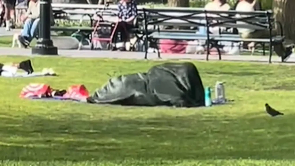 Couple Under Blanket NYC Park Video
